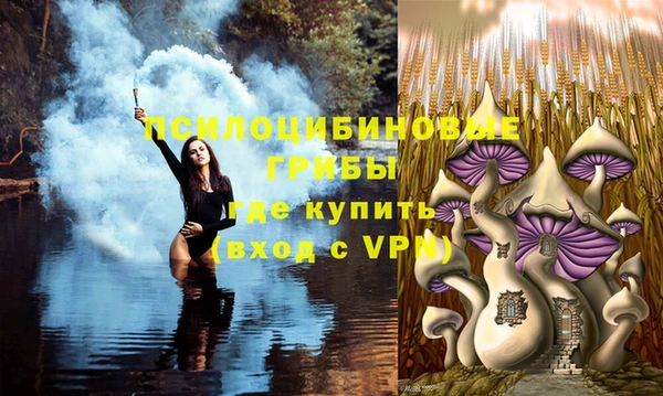 спиды Абаза