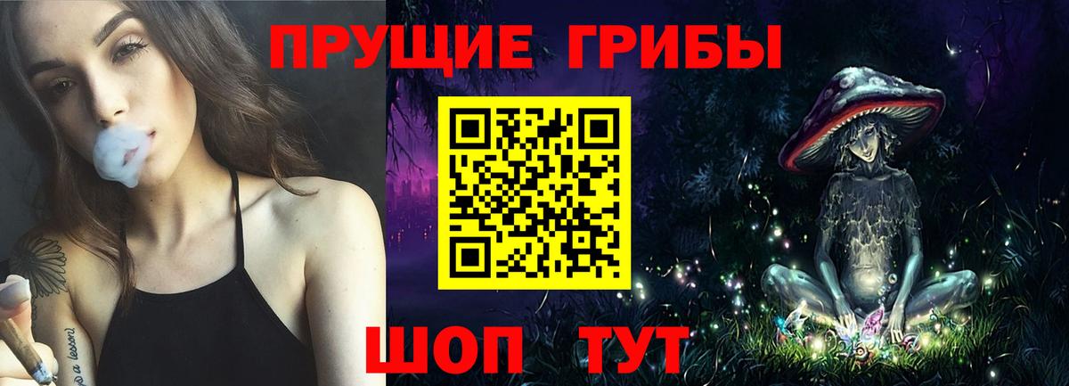 Псилоцибиновые грибы прущие грибы  Вход с VPN  Псков  Псилоцибиновые грибы GOLDEN TEACHER 