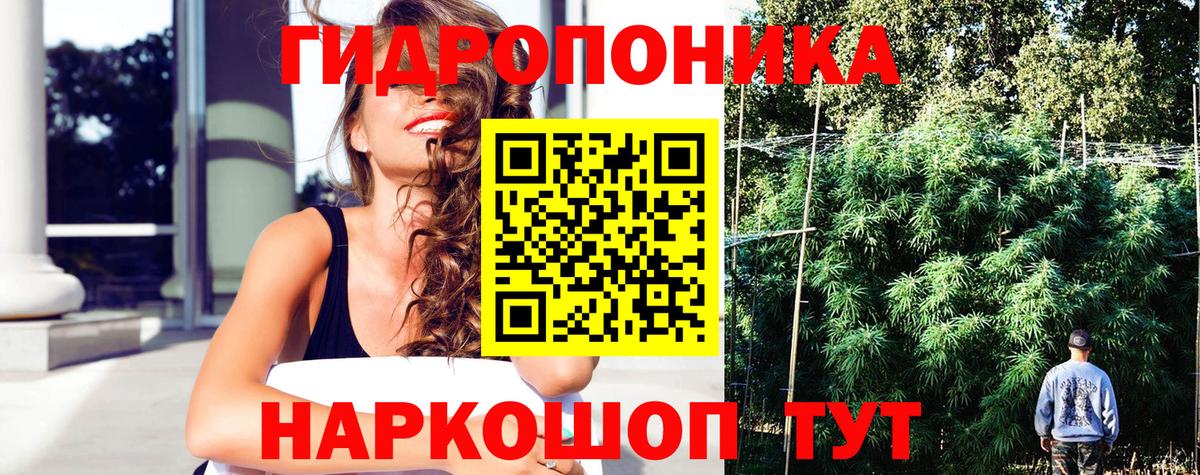 Бошки марихуана SATIVA & INDICA  Вход с VPN  Бошки марихуана THC 21%  Псков  МАРИХУАНА гибрид  МАРИХУАНА VHQ 
